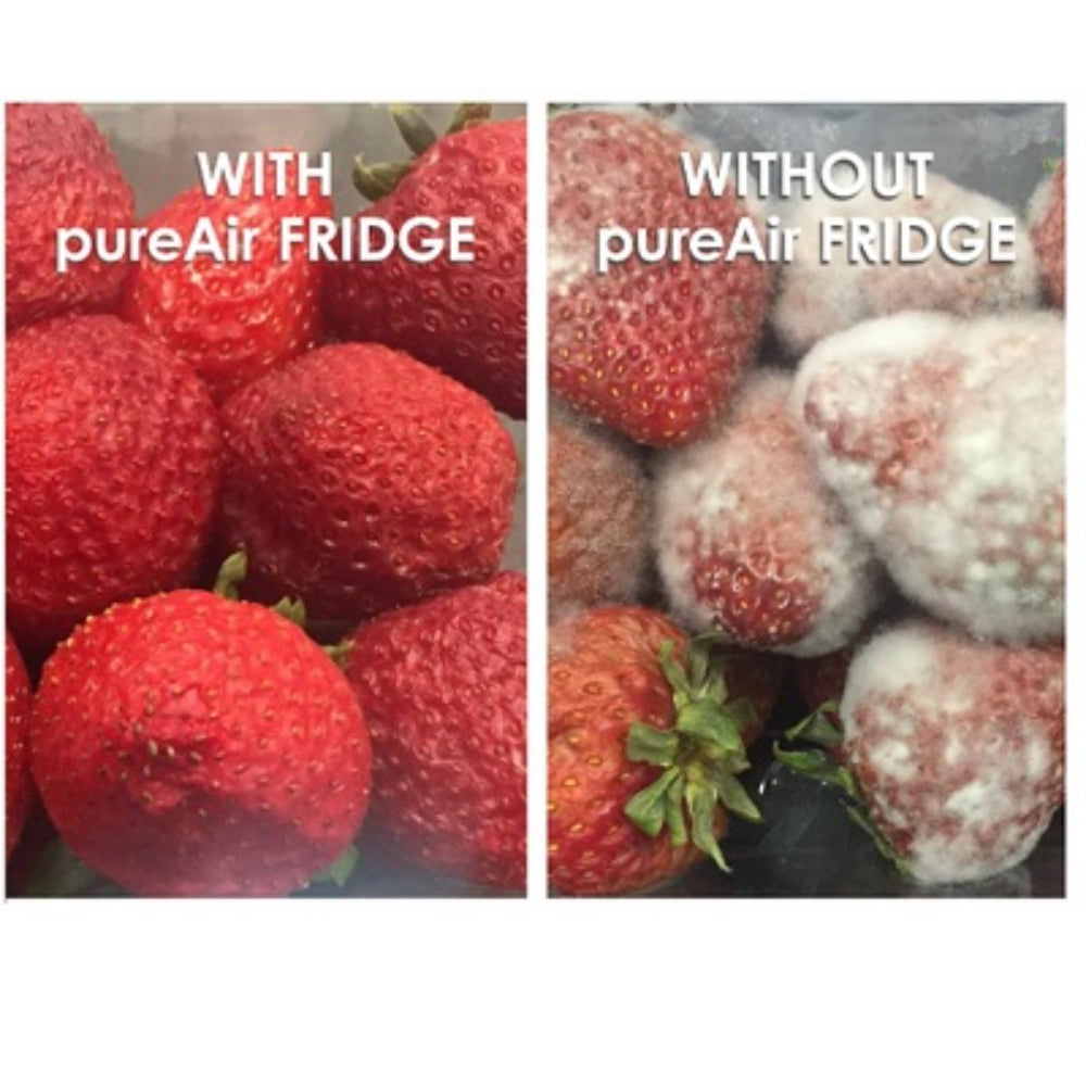 PureAir Fridge Air Purifier - Banish Fridge Smells And Extend Produce Dates | 50009