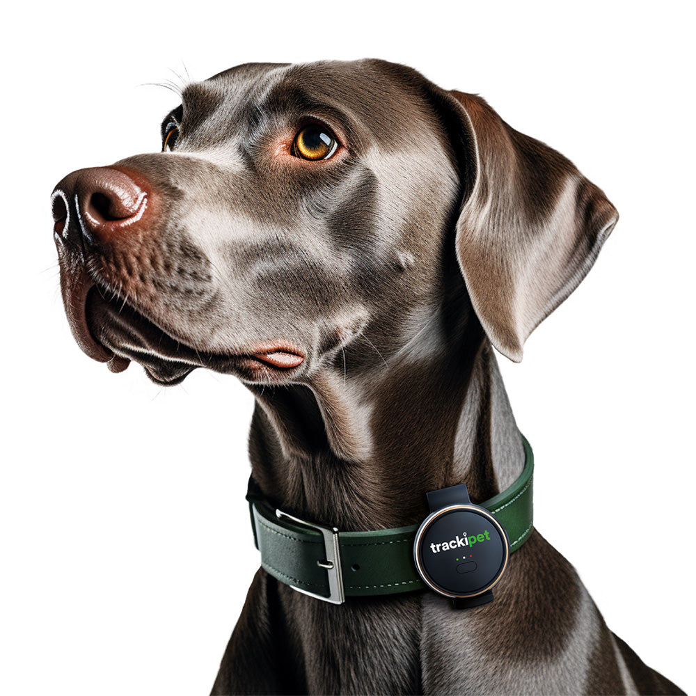 Trackipet Tracki Dog GPS Tracker | 7463