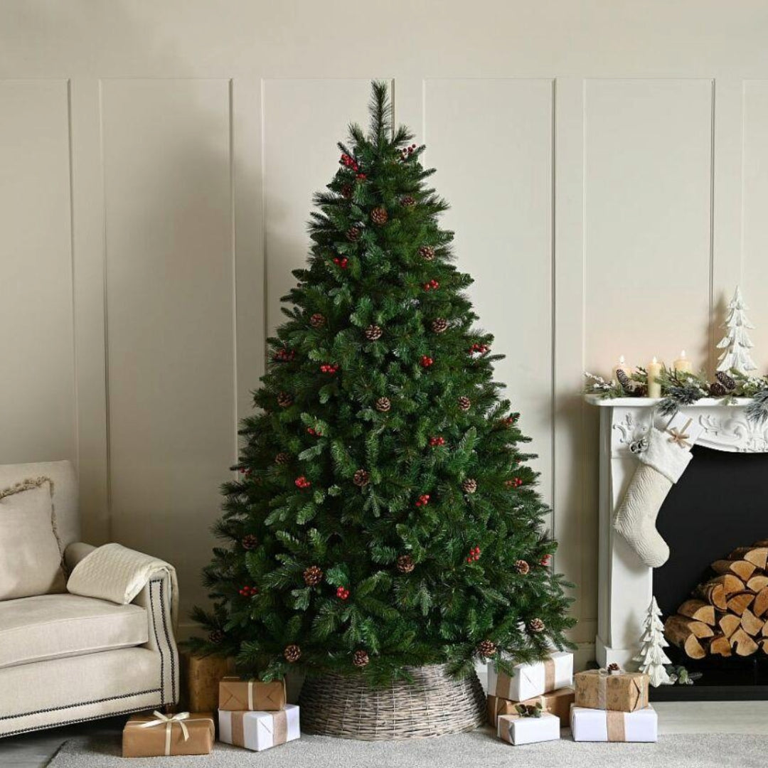 Festive Ben Nevis 2.4 Metre ( 8ft ) Christmas Tree | P051887