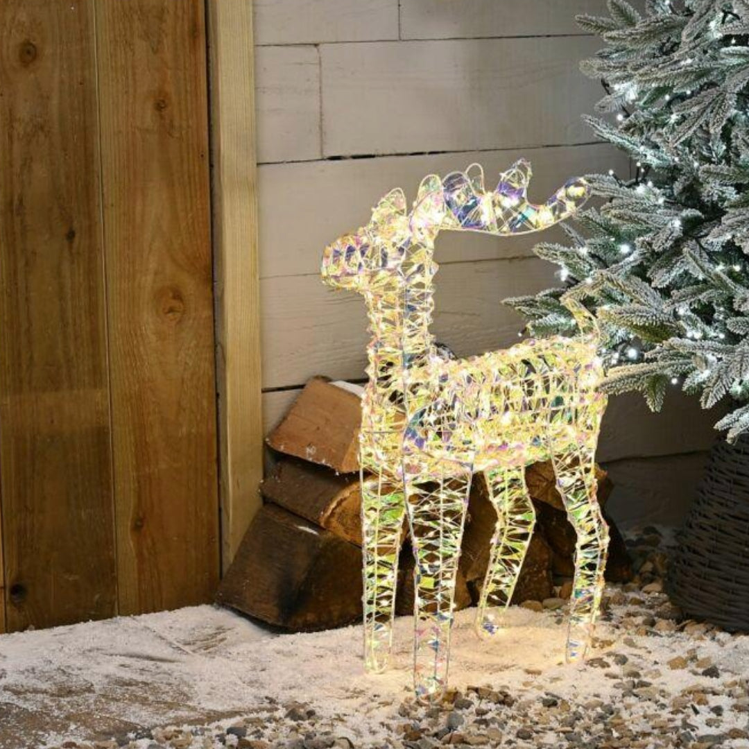 Festive Lit Star Shimmer Reindeer - 60cm | P051900