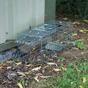 Defenders Animal Trap Medium Size Cage (Mink Trap) | STV072