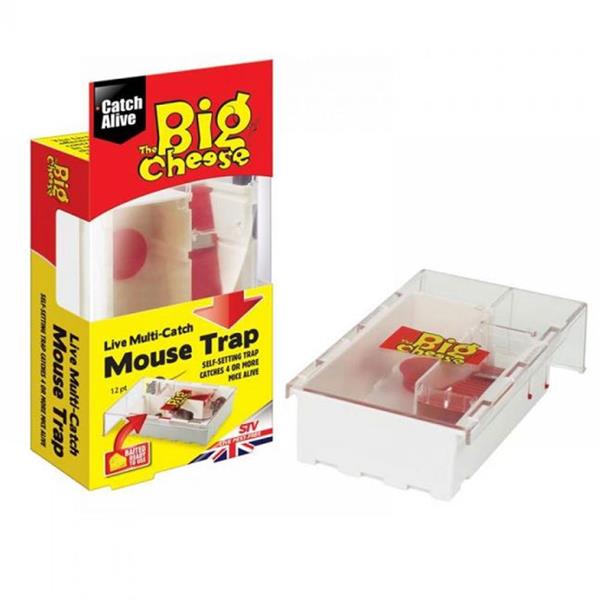 Big Cheese Multi Catch Live Mouse Trap | STV162