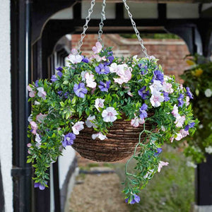 Easy Hanging Basket - Petunia | 260654