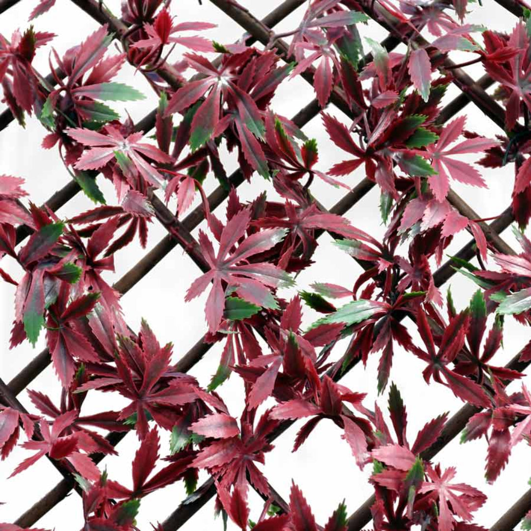 Wonderwall Artificial Trellis 100cm  x 200cm - Red Acer