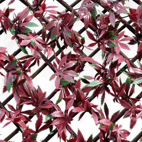 Wonderwall Artificial Trellis 100cm  x 200cm - Red Acer