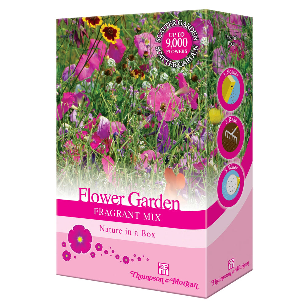 Thompson and Morgan Flower Garden  - Fragrant Annuals Mix | TB190604