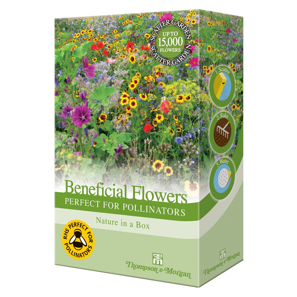 Thompson and Morgan Beneficial Scatter Flowers - Perfect for Pollinators Mix | TB190601