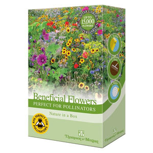 Thompson and Morgan Beneficial Scatter Flowers - Perfect for Pollinators Mix | TB190601