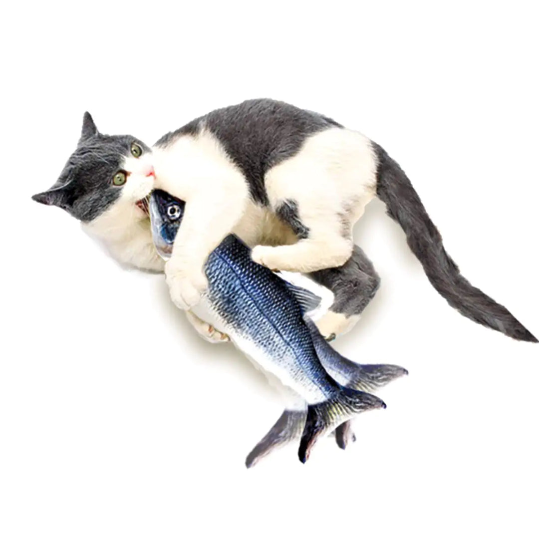 JML Flippity Fish Pet Cat Toy | A001295