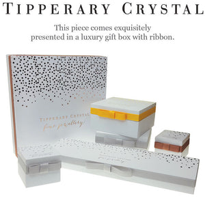 Tipperary Crystal Part Stone Set Infinity Stud Earrings - Silver | 109292