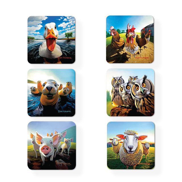 Eoin O Connor Beyond the Herd Set of 6 Coasters Assorted | 169319