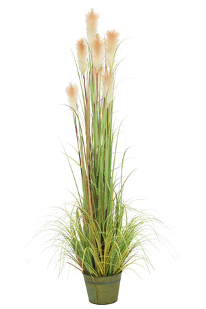 Macquillan 6ft High Reed Grass in Metal Pot | MQF6025