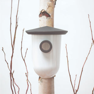 Singing Friend Breedr Bird Nesting Box - Grey | SFB005