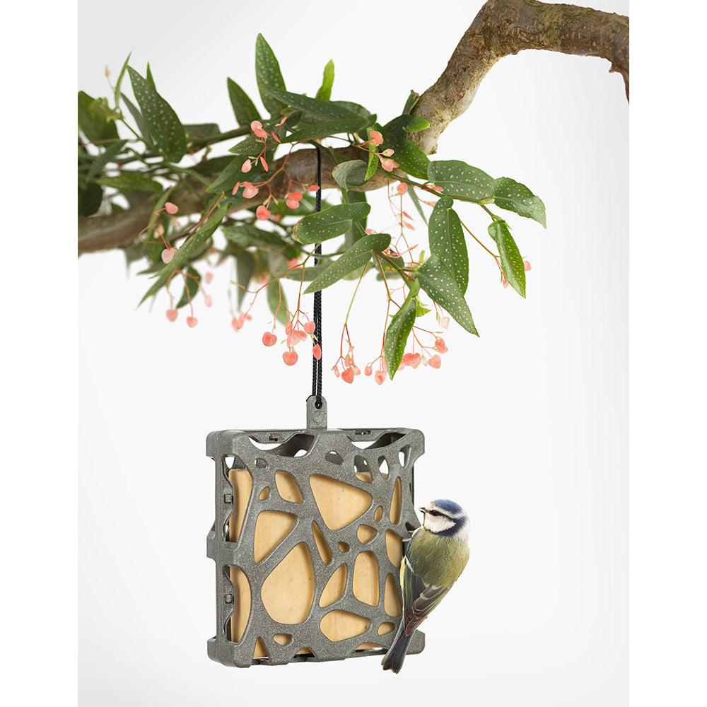 Singing Friend Anna Bird Feeder Recycled With Rope - Grey | SFA003