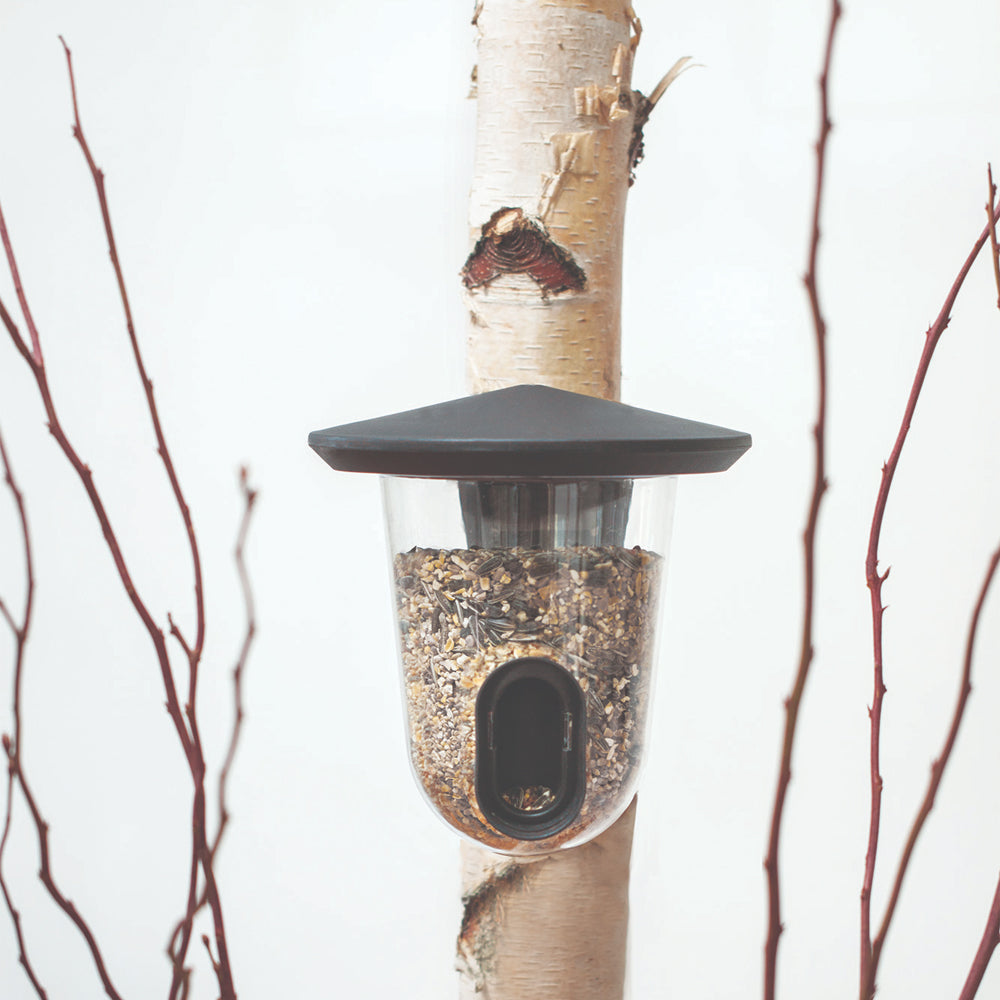 Singing Friend Feedr Bird Feeder - Grey | SFF005