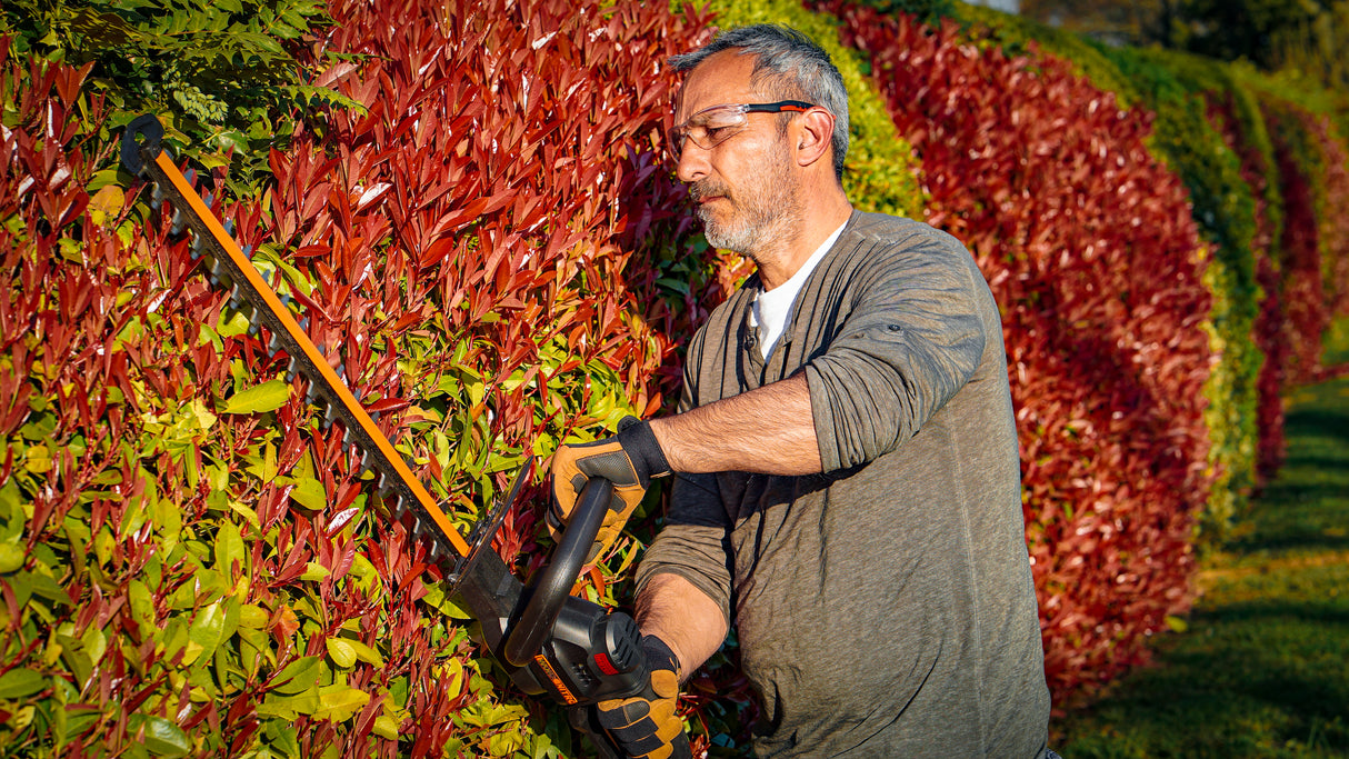 Worx Brushless Hedge Trimmer Cutter 40V 61cm with 2 x 2.0ah Batteries | WG286E