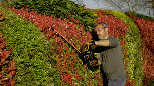 Worx Brushless Hedge Trimmer Cutter 40V 61cm with 2 x 2.0ah Batteries | WG286E