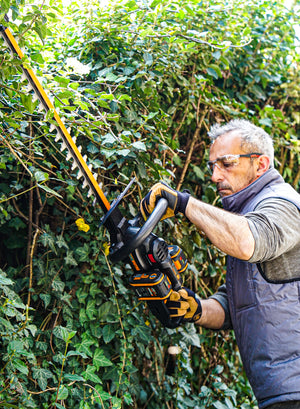 Worx Brushless Hedge Trimmer Cutter 40V 61cm with 2 x 2.0ah Batteries | WG286E