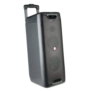 NGS Portable Trolley Speaker 200W with Micophone | 619997