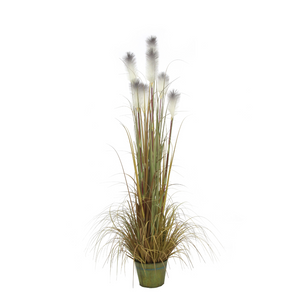 Macquillan 6ft High Reed Grass in Metal Pot - Green / White | MQF6022