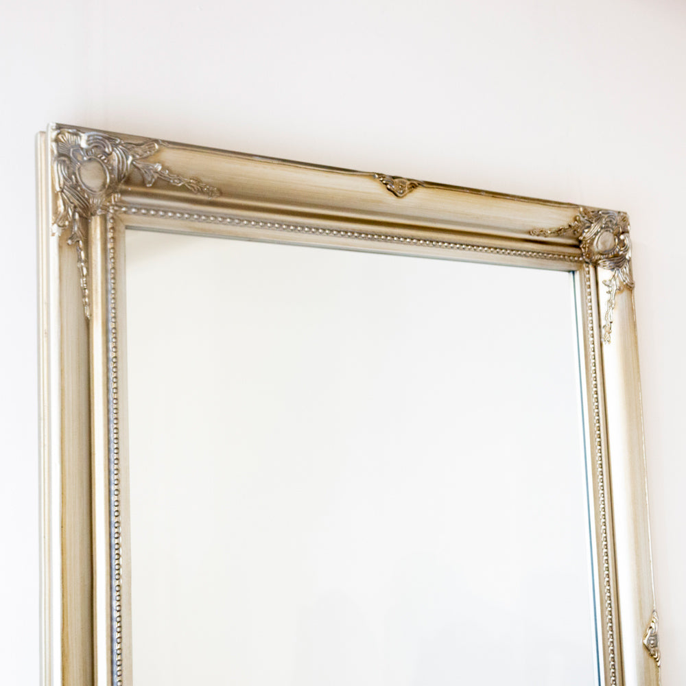 Tara Lane Lyon Mirror 60cm x 90cm - Champagne | TL5799