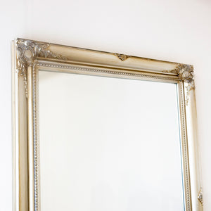 Tara Lane Lyon Mirror 60cm x 90cm - Champagne | TL5799