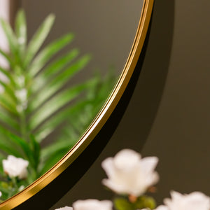 Tara Lane Modena Oval Wall Mirror 60cm x 90cm - Gold | TL6043