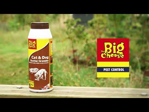 Big Cheese Cat and Dog Scatter Granules 450g | STV616